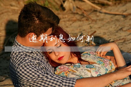 逾期利息如何判