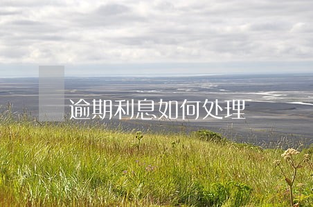 逾期利息如何处理