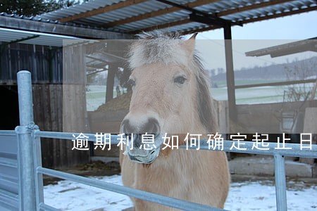 逾期利息如何确定起止日期 逾期利息如何确定起止日期
