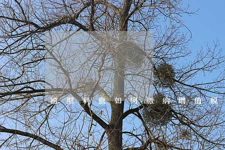 逾期利息如何缴纳增值税 逾期利息如何缴纳增值税