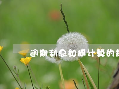 逾期利息如何计算的规定 逾期利息如何计算的规定