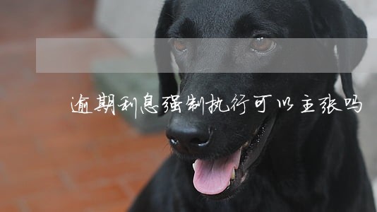 逾期利息强制执行可以主张吗 逾期利息强制执行可以主张吗