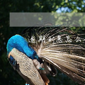逾期利息怎么从什么时候计算