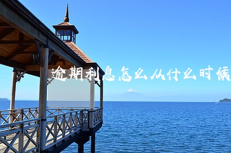 逾期利息怎么从什么时候计算器 逾期利息怎么从什么时候计算器