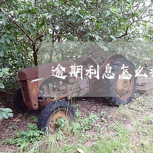 逾期利息怎么描述 逾期利息怎么描述