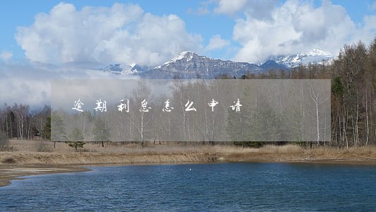逾期利息怎么申请 逾期利息怎么申请
