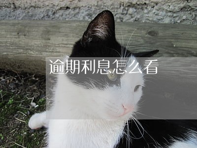逾期利息怎么看 逾期利息怎么看