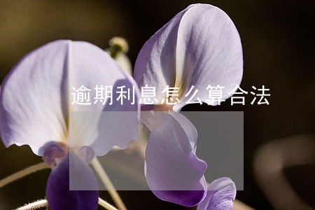 逾期利息怎么算合法 逾期利息怎么算合法