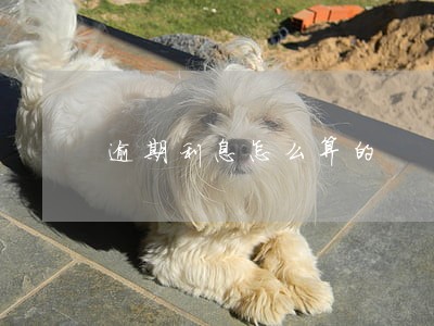 逾期利息怎么算的 逾期利息怎么算的