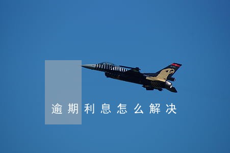 逾期利息怎么解决 逾期利息怎么解决
