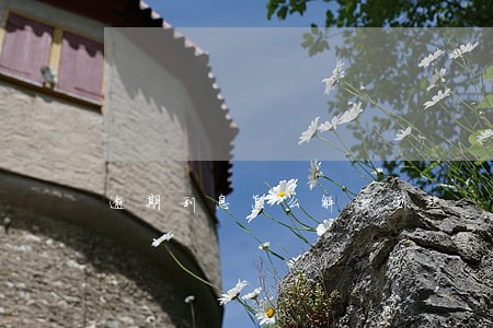 逾期利息怎么解决例题 逾期利息怎么解决例题