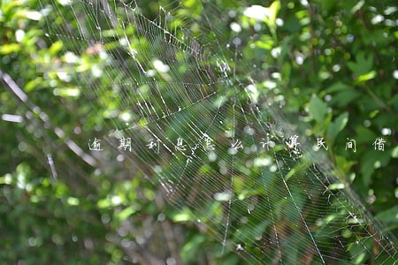 逾期利息怎么计算民间借贷 逾期利息怎么计算民间借贷