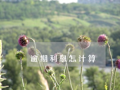 逾期利息怎计算 逾期利息怎计算
