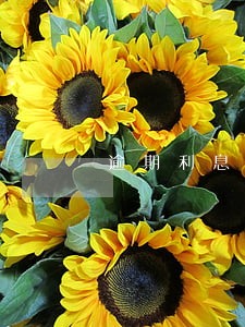 逾期利息或资金占用期间利息 逾期利息或资金占用期间利息