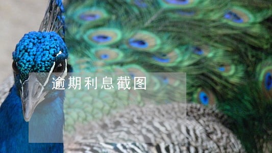逾期利息截图 逾期利息截图