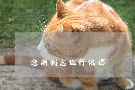 逾期利息执行依据 逾期利息执行依据