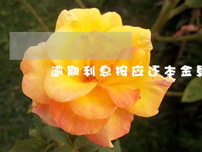 逾期利息按应还本金算 逾期利息按应还本金算