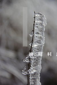 逾期利息按日算吗 逾期利息按日算吗