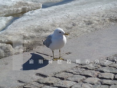 逾期利息按照百分之六计算 逾期利息按照百分之六计算