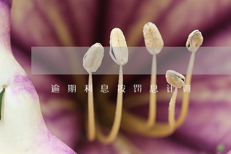 逾期利息按罚息计算 逾期利息按罚息计算