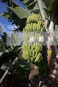 逾期利息损失怎么计算公式 逾期利息损失怎么计算公式