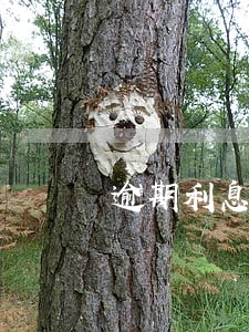 逾期利息损失的区别 逾期利息损失的区别