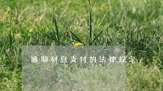 逾期利息支付的法律规定 逾期利息支付的法律规定