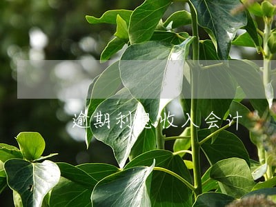 逾期利息收入会计 逾期利息收入会计