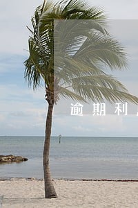 逾期利息收入可以并入收款么 逾期利息收入可以并入收款么