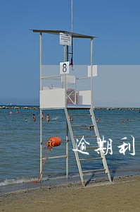 逾期利息收入是否应缴纳增值税 逾期利息收入是否应缴纳增值税