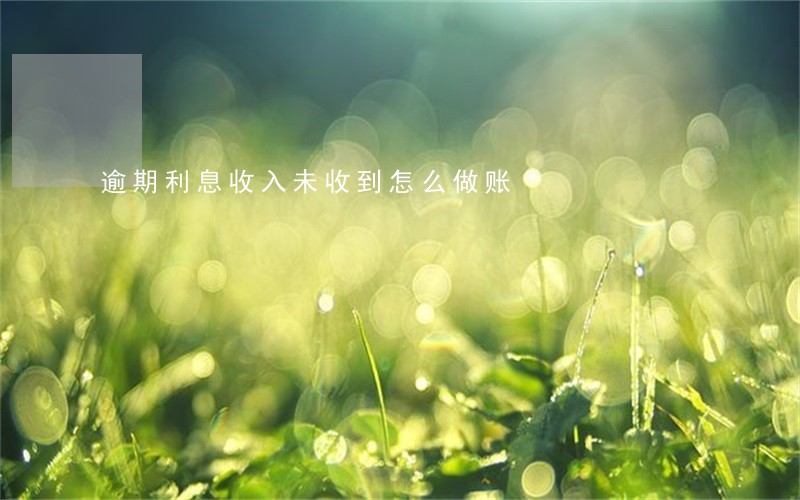 逾期利息收入未收到怎么做账 逾期利息收入未收到怎么做账
