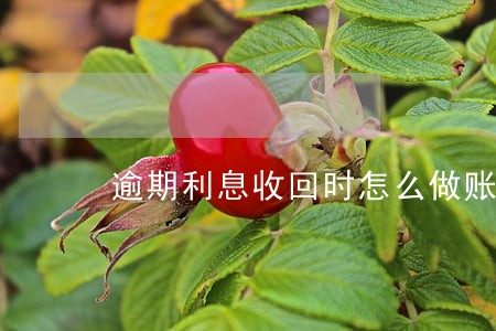 逾期利息收回时怎么做账