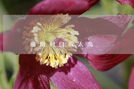逾期利息收太高 逾期利息收太高