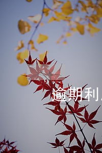 逾期利息新规定 逾期利息新规定