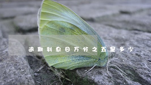 逾期利息日万分之五是多少 逾期利息日万分之五是多少
