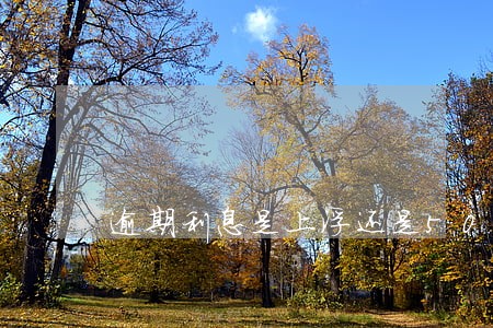 逾期利息是上浮还是50 逾期利息是上浮还是50