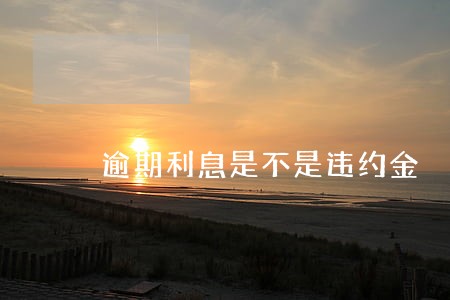 逾期利息是不是违约金 逾期利息是不是违约金