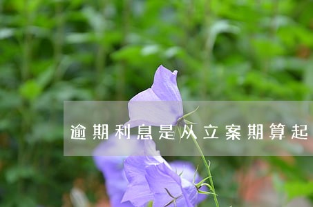 逾期利息是从立案期算起吗 逾期利息是从立案期算起吗