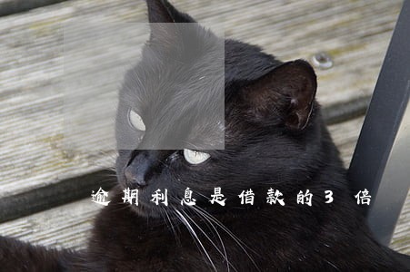 逾期利息是借款的3倍 逾期利息是借款的3倍