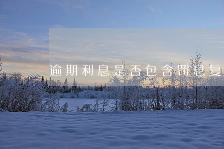 逾期利息是否包含罚息复息 逾期利息是否包含罚息复息