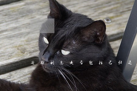 逾期利息是否包括已归还借款 逾期利息是否包括已归还借款