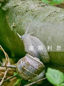 逾期利息是复利吗 逾期利息是复利吗