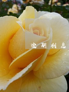 逾期利息是怎么个算法 逾期利息是怎么个算法