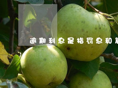 逾期利息是指罚息和复利么 逾期利息是指罚息和复利么