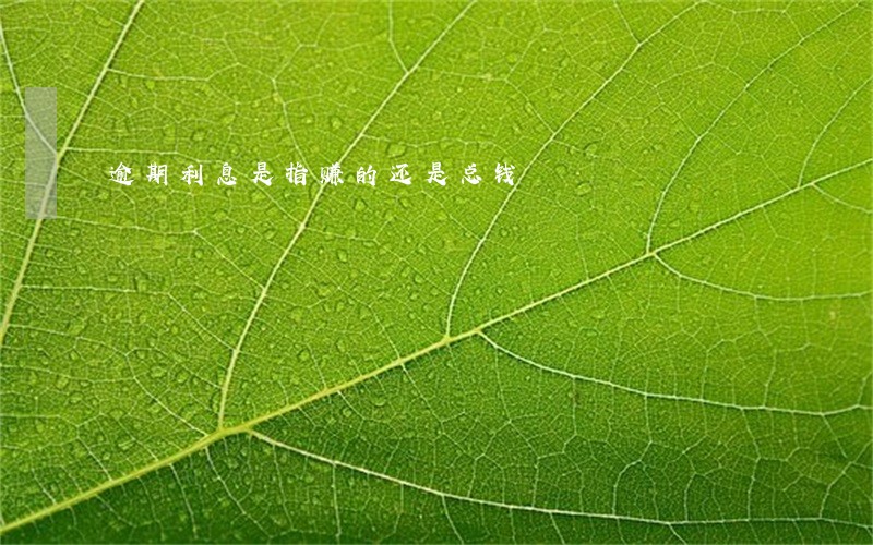逾期利息是指赚的还是总钱 逾期利息是指赚的还是总钱