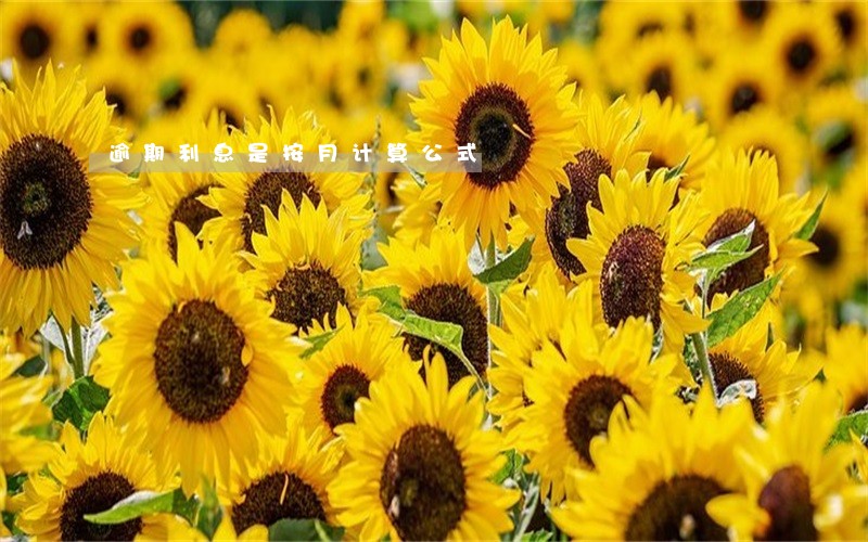 逾期利息是按月计算公式 逾期利息是按月计算公式