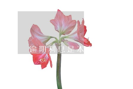 逾期利息是本金的百分之十五