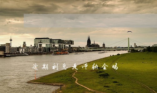 逾期利息是滞纳金吗 逾期利息是滞纳金吗