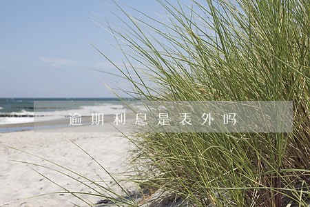 逾期利息是表外吗 逾期利息是表外吗