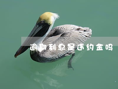 逾期利息是违约金吗 逾期利息是违约金吗